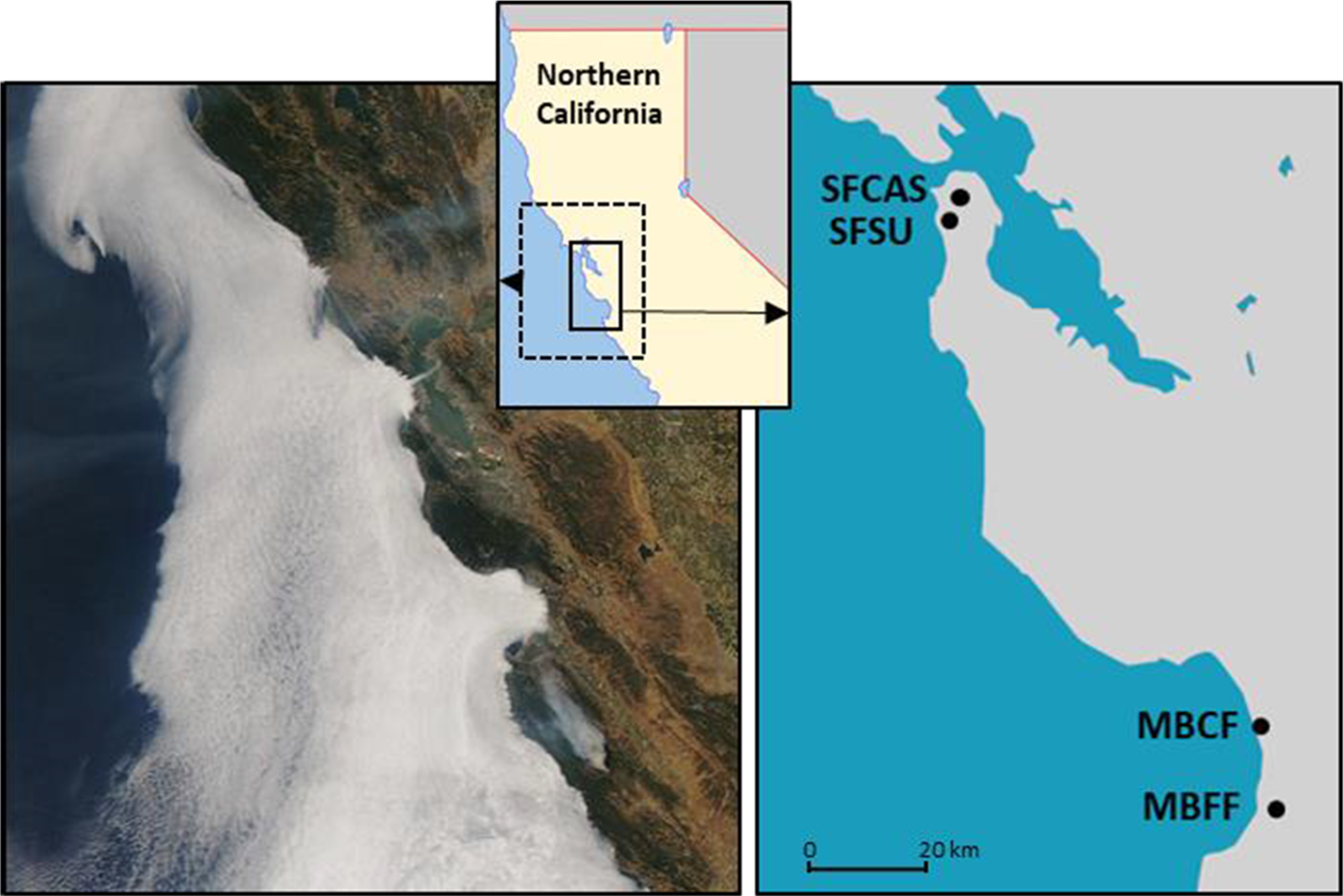 Satellite image (left) showing typical summer LCF along the central Californian coast (image captured July 2008, source NOAA), site map (right) showing location of observation sites in San Francisco (SF) and Monterey Bay (MB) and location map (inset) of central and northern California