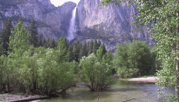 Yosemite Falls and Merced River