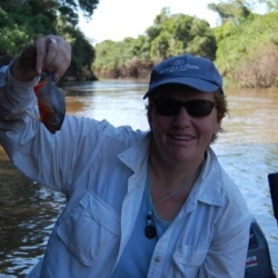Barbara Holzman holding a piranha profile picture